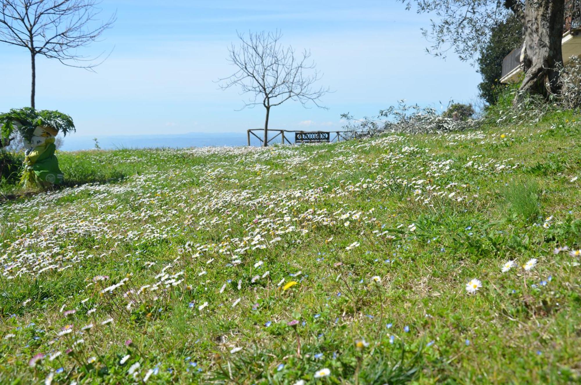 Casa Franceschini Villa Poggio Mirteto Luaran gambar