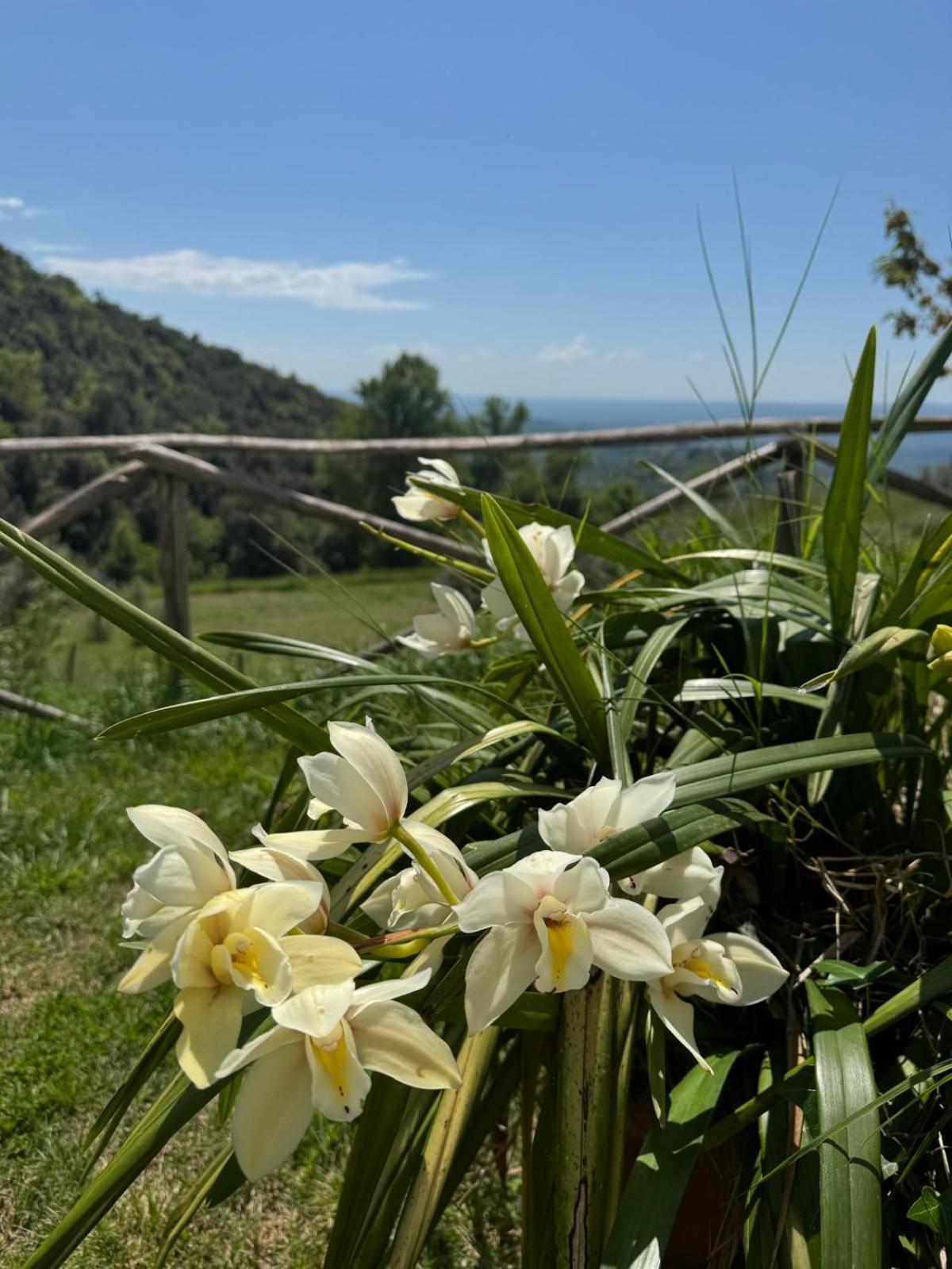 Casa Franceschini Villa Poggio Mirteto Luaran gambar