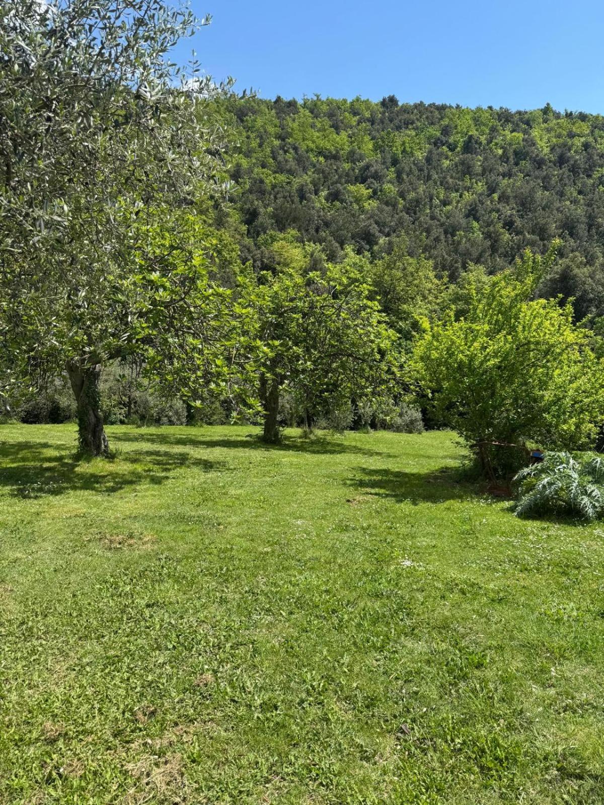 Casa Franceschini Villa Poggio Mirteto Luaran gambar