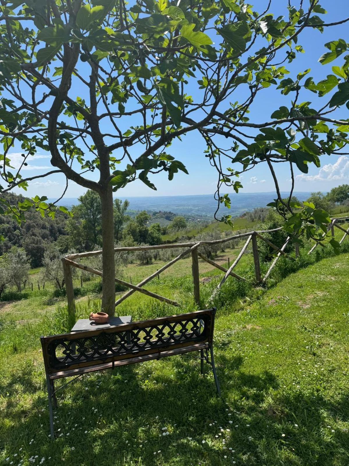 Casa Franceschini Villa Poggio Mirteto Luaran gambar